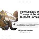 Travel and Transport Services Forest Lake