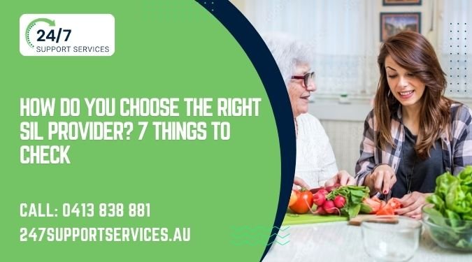 How Do You Choose the Right SIL Provider? 7 Things to Check
